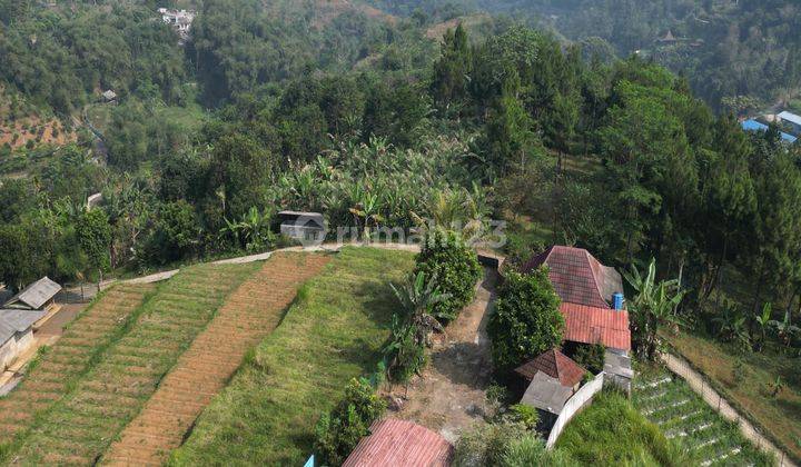 Villa Murah Luas Tanah 2050m2 Puncak Bogor SHM  2