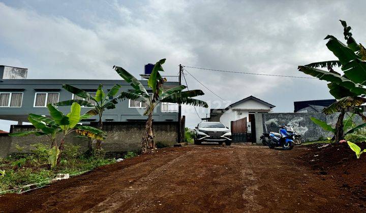 Tanah Puncak Bogor View Pohon Pinus Dan Lembah 2