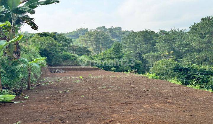 Kavling Lembah Pinus Untuk Villa Di Puncak Bogor 2