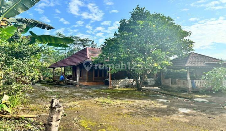 Tanah Murah View Indah Pas Untuk Bikin Villa Farmhouse 2