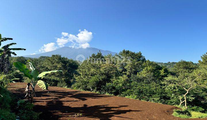 Tanah Untuk Villa Lembah Pinus Puncak Bogor 1