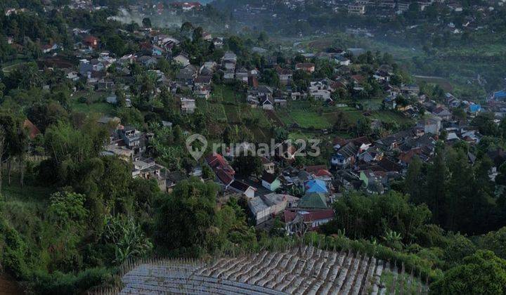 Tanah Shm Untuk Villa View City Light Puncak Bogor 2