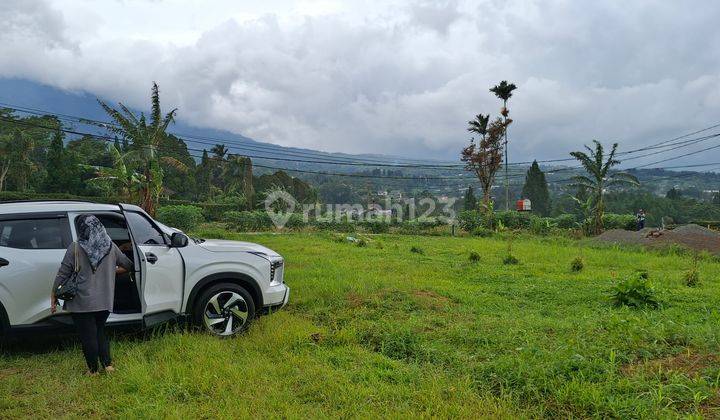 Dijual Di Citeko Hilss Jaln Aternatiftamansafari 2