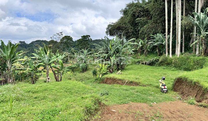 Tanah Cocok Untuk Villa Di Puncak Bogor. 2