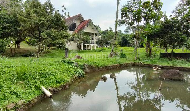 Tanah Dan Villa Murah View Sawah Gunung Dan Sungai 1