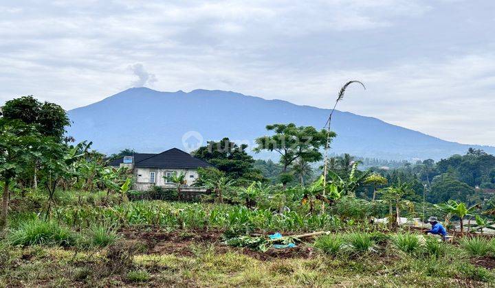 Tanah Shm Untuk Villa 15 Menit Dari Exit Tol Gadog 1