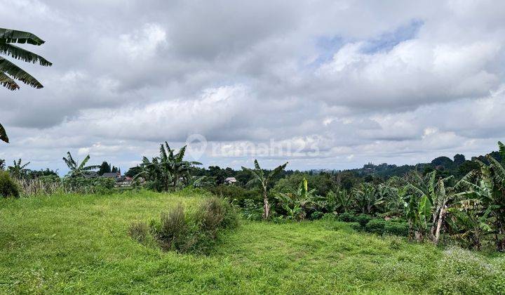 Tanah Cocok Untuk Villa Di Puncak Bogor. 1