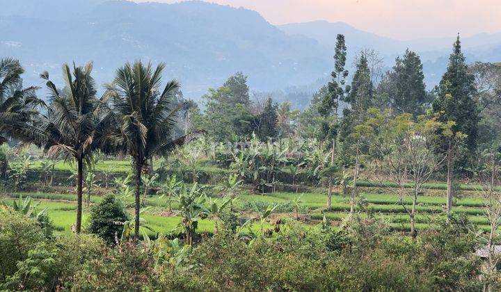 Tanah Shm Untuk Vila View Sawah,gunung,Sungai. 2