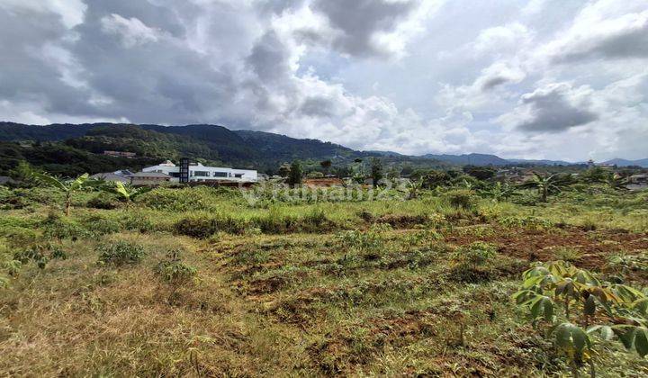 Tanah 2 Hektar  View Di Kelilingi Gunung  1