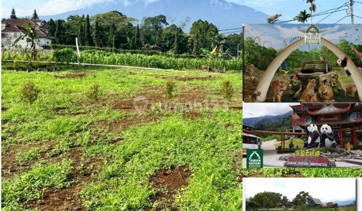 Dijual tanah dekat taman wisata safari di cisarua puncak bogor 1