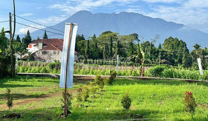 Dijual tanah shm peruntukan villa di cisarua puncak bogor 2