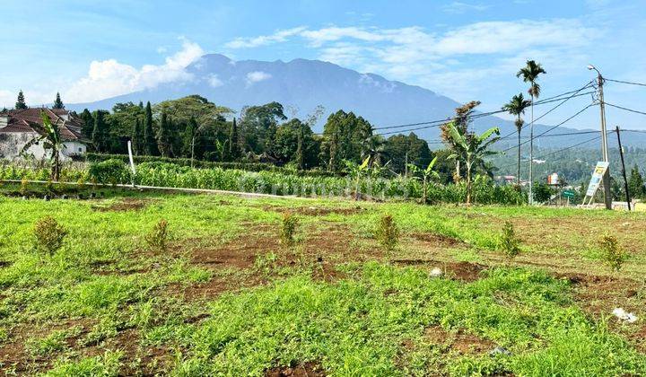 Dijual tanah shm dekat taman wisata safari di cisarua bogor 1