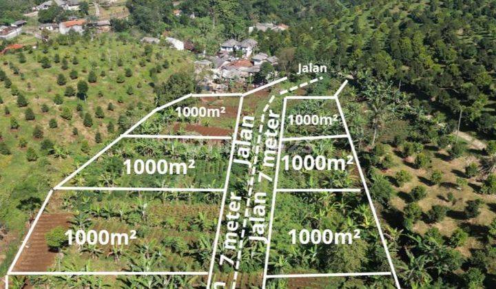 Dijual tanah murah legalitas shm di cisarua puncak bogor 1