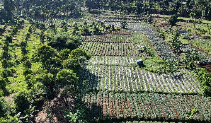 Dijual tanah murah legalitas shm di cisarua puncak bogor 2