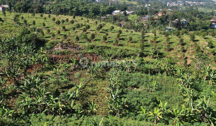 Dijual tanah shm cocok untuk villa dan kerkebun di cisarua bogor 2