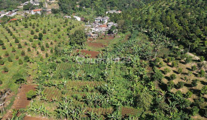 Dijual tanah shm di cisarua dekat wisata puncak bogor 1