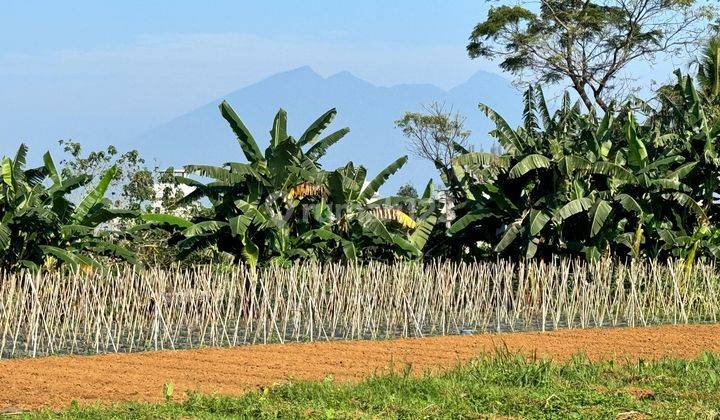 Dijual tanah siap bangun di megamendung puncak. Bogor 2