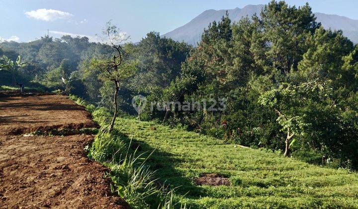 DIJUAL tanah dekat wisata eiger adventure land megamendung bogor 2