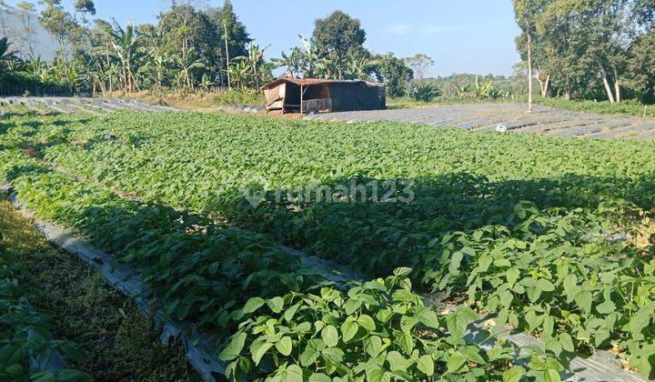 Dijual tanah peruntukan villa di megamendung puncak bogor 2