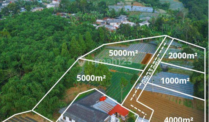 Dijual tanah shm di megamendung puncak bogor 1