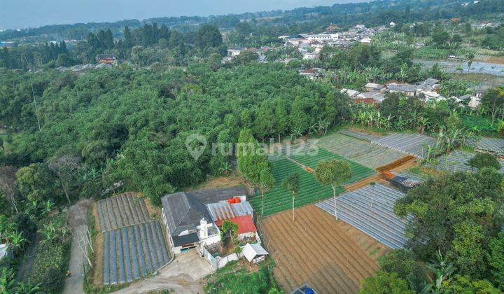 Dijual tanah shm di megamendung puncak bogor 2