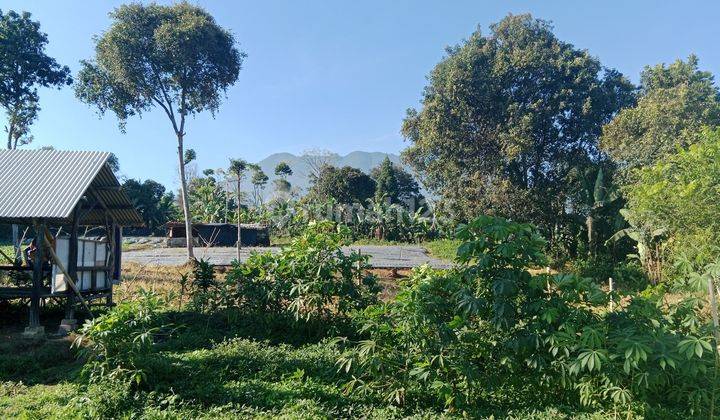 Dijual tanah shm peruntukan villa di megamendung bogor 2