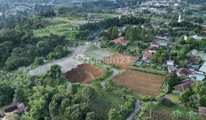 Dijual Tanah Shm Strategis Di cisarua Puncak Bogor 1