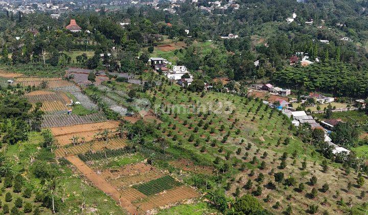 Dijual Tanah Siap Bangun Di Cisarua Puncak Bogor 1