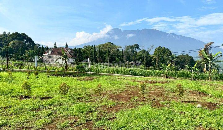 Dijual Tanah Kavling Pesona Di Cisarua Puncak Bogor 2