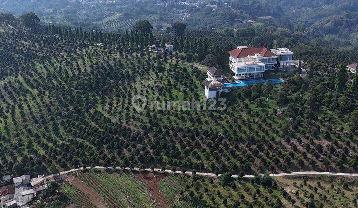 Dijual Tanah Siap Bangun Di Cisarua Puncak Bogor 2