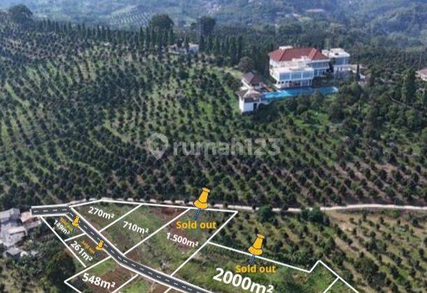 DIJUAL Tanah Murah Legalitas shm Di Cisarua Puncak Bogor 1