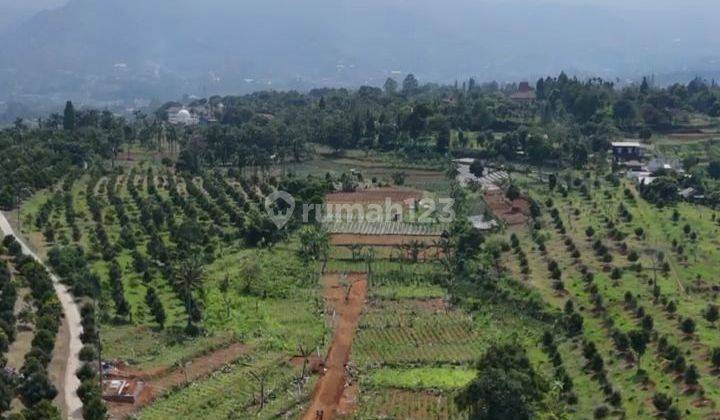 DIJUAL Tanah Murah Siap Bangun Shm Di Cisarua Puncak Bogor 2