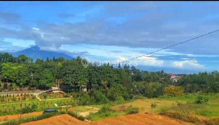 Dijual Tanah Shm Strategis, Di Megamendung Puncak Bogor 2