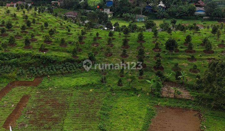 Dijual Tanah Murah Siap Bangun Di Cisarua Puncak Bogor 1