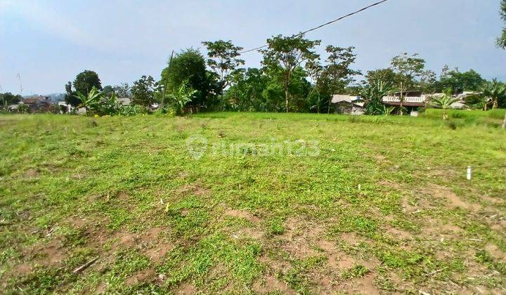 Jual Tanah Kavling Siap Bangun Di Desa Cibedug Turki Ciawi 1