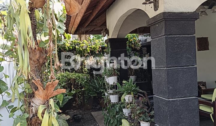 RUMAH ETNIK ESTETIK KELAPA DUA TANGERANG 2