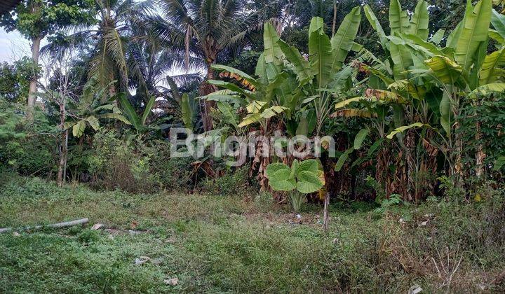 RUMAH BANGUNAN TUA DI METRO KIBANG 2