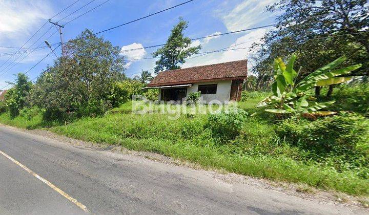 Tanah Pinggir Jalan Raya Gedong Tataan lintas barat Lampung 1