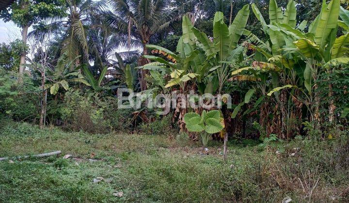 RUMAH BANGUNAN TUA DI METRO KIBANG  2