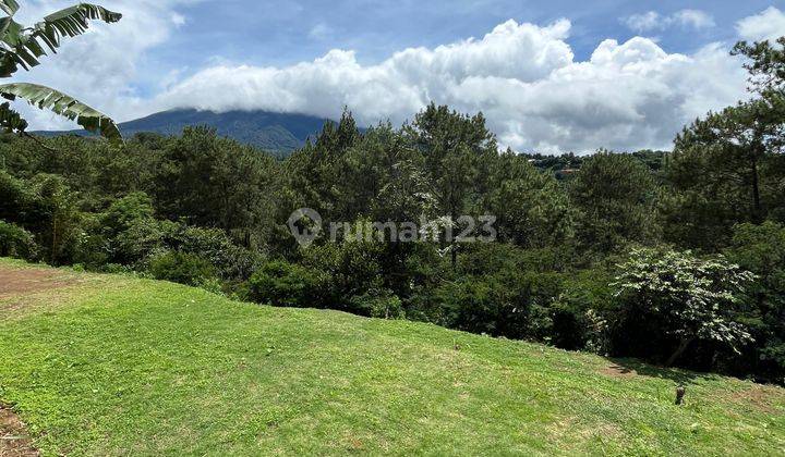 Dijual Tanah Kasawan Villa Komersil Megamendung Puncak Bogor 1