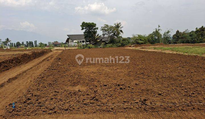 Tanah Siap Bangun Wisata Chevily Ciawi Bogor SHM 2