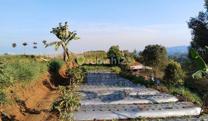 Tanah Dekat Jeep Station Indonesia Megamendung Puncak Bogor Shm 2