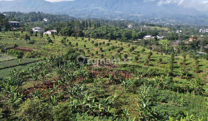 Tanah Dekat Hotel Grand Ussu Cisarua Puncak Bogor Shm 2