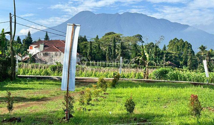 Tanah srategis view gunung puncak bogor shm  1