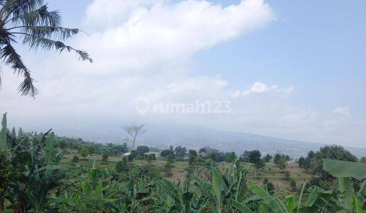 Di Jual Tanah Hanya 1 Km Saja Dari Jalan Raya Puncak Bogor Shm 2