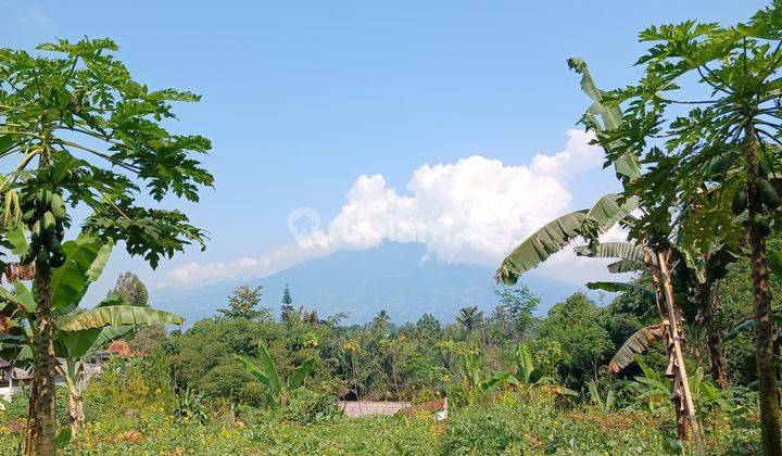 Tanah Kawasan Villa Komersil Dekat Gadog Megamendung Puncak Bogor 2