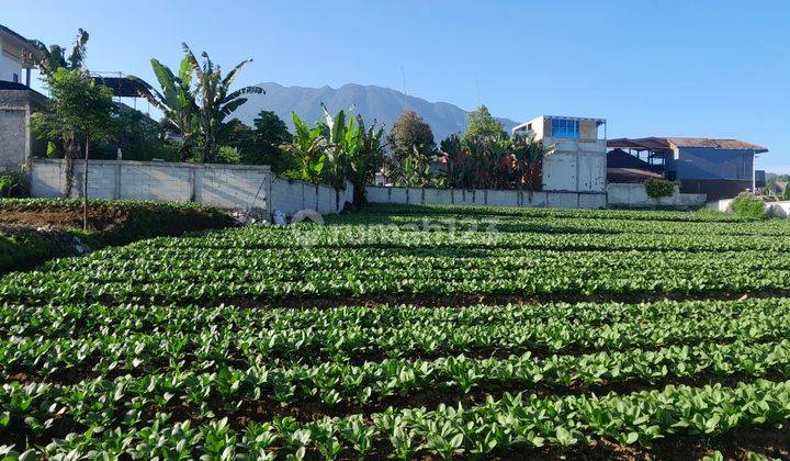 Tanah Dekat Villa Ayu Ting Ting Megamendung Puncak Bogor SHM 1