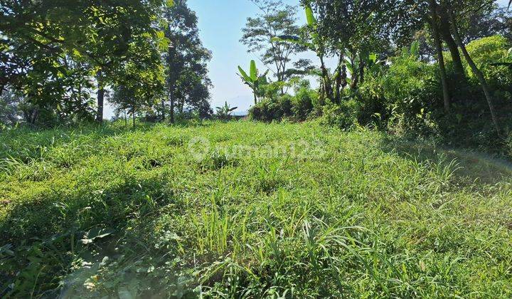 Tanah Dekat Dari Jsi Reort Siap Bangun Megamendung Puncak Bogor 2