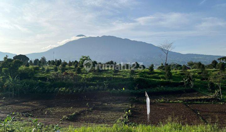 Tanah Hanya 1km Dari Rumah Makan Pagi Sore Cisarua Puncak Bogor 2