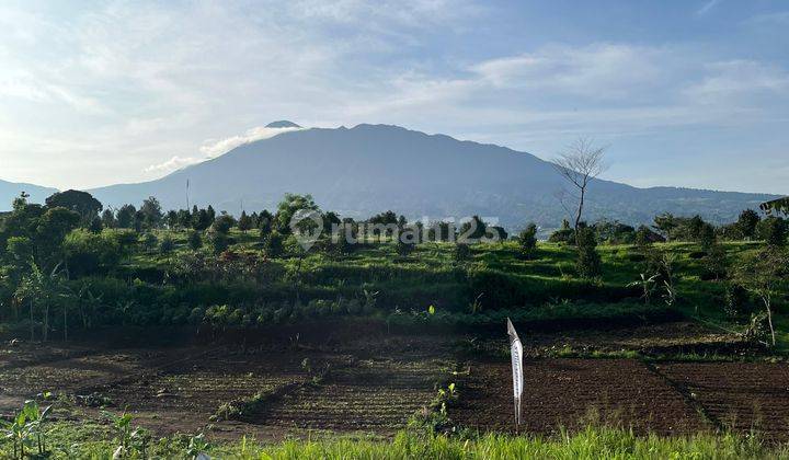 Dijual Tanah Di Cisarua Puncak Bogor  1